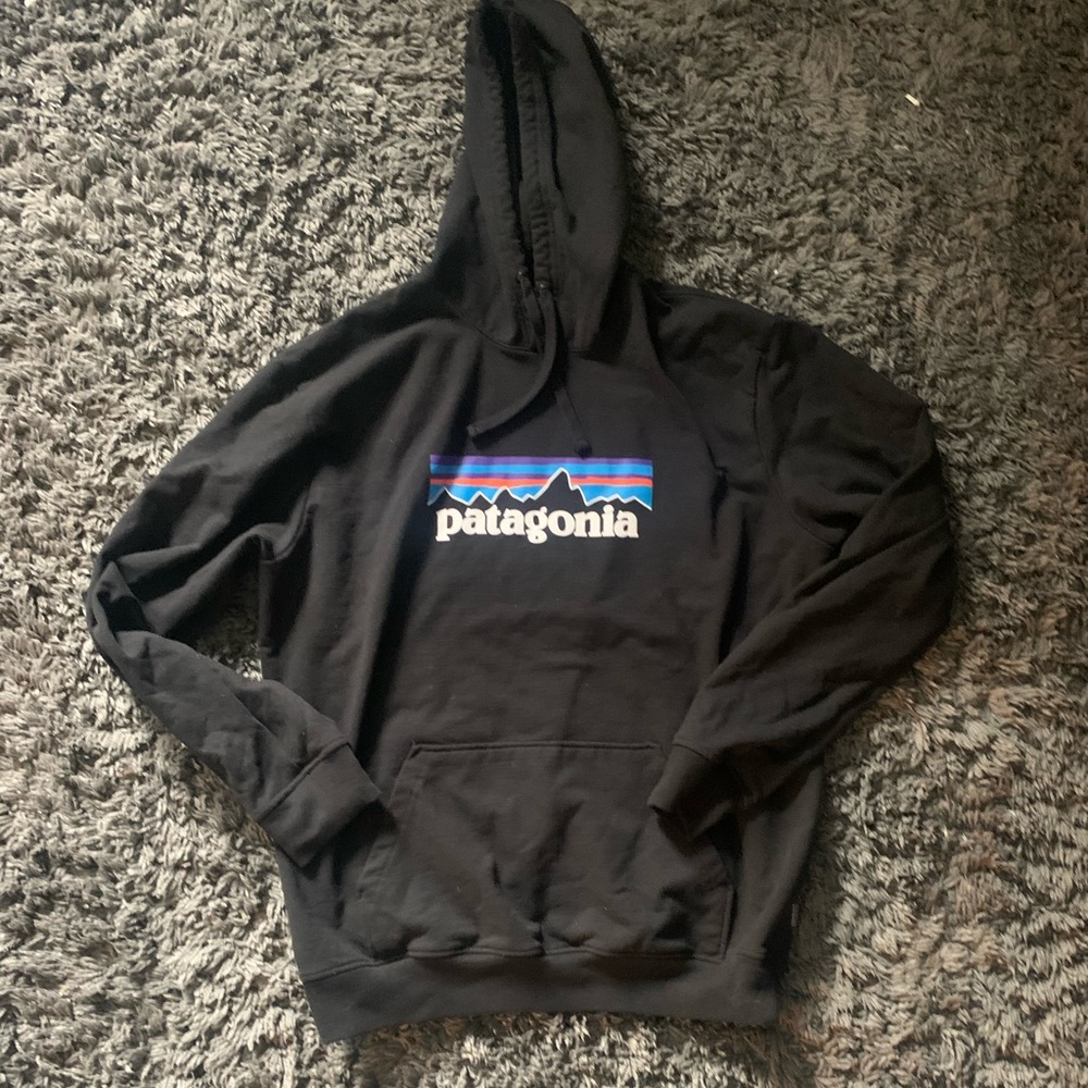Men’s Patagonia hoodie